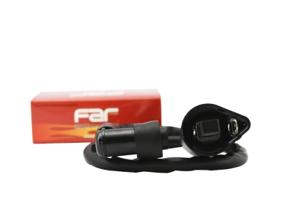 BOBINA DE ALTA SMASH-TRIP-BIZ 3225