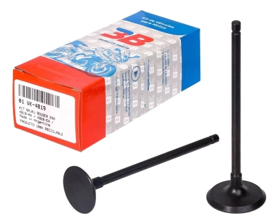 KIT DE VALVULAS ROUSER NS 200 BBB